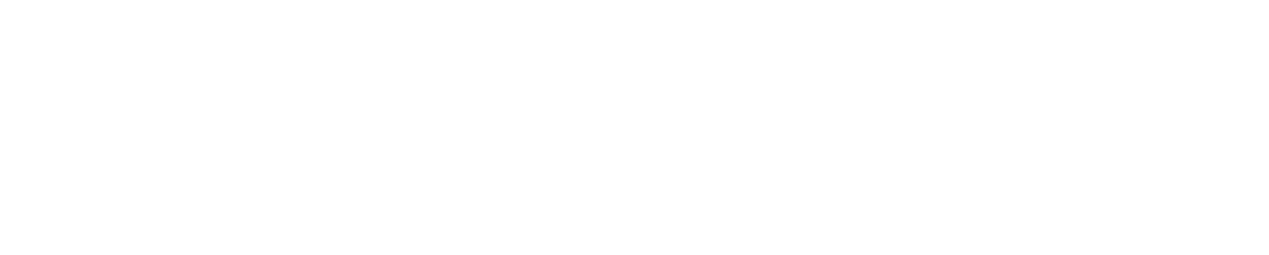 soluciónauto_logo_blanco_sin_fondo